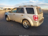 Ford Escape Xlt 1FMCU9D77CKC27090 fotografie