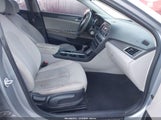 Hyundai Sonata 5NPE24AF1HH515095 снимка