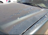 Ford F-150 Lariat/Xl/Xlt 1FTPX12595NA25532 photo