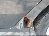 Ford Focus Se 1FADP3F2XEL386123 снимка