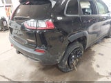 Jeep Cherokee Trailhawk 1C4PJMBX6LD558106 снимка