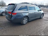 Miniaturka zdjęcia 4