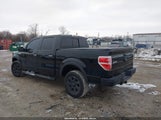 Ford F-150 Xlt 1FTFW1ET7DFA08343 снимка