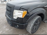 Ford F-150 Xlt 1FTFW1ET7DFA08343 снимка