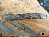 Honda Civic Ex 2HGFB2F81FH533963 снимка