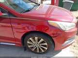 Hyundai Sonata Sport 5NPE34AF1FH131151 fotografie