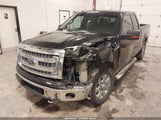 Ford F-150 Xlt 1FTFX1EF4EFB59410 снимка