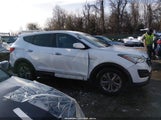 Hyundai Santa Fe Sport 2.4L 5XYZTDLB7FG290467 снимка