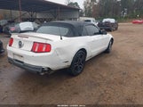 Miniaturka zdjęcia 4