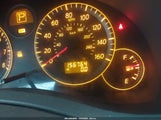Miniaturka zdjęcia 7
