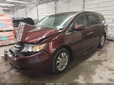Honda Odyssey Ex-L 5FNRL5H67EB010991 снимка