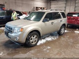 Ford Escape Xlt 1FMCU9DG3BKA69071 снимка