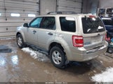 Ford Escape Xlt 1FMCU9DG3BKA69071 fotografie