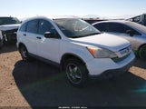 Honda Cr-V Ex JHLRE48537C116837 снимка