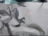 Miniaturka zdjęcia 10