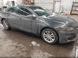Miniaturka zdjęcia 1