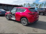 Miniaturka zdjęcia 3