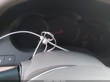 Miniaturka zdjęcia 11