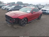 Ford Mustang Ecoboost Fastback 1FA6P8TH5L5172267 снимка