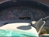 Miniaturka zdjęcia 7