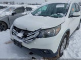 Miniaturka zdjęcia 6