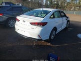 Hyundai Sonata Se 5NPE24AF0KH755942 снимка