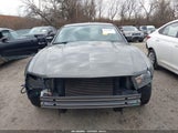 Ford Mustang V6/V6 Premium 1ZVBP8AN9A5101228 photo