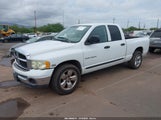 Miniaturka zdjęcia 2