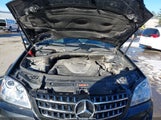 Mercedes-Benz Ml 350 4Matic 4JGBB86E87A180669 снимка