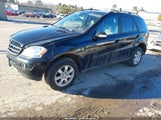Mercedes-Benz Ml 350 4Matic 4JGBB86E87A180669 снимка