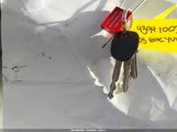 Miniaturka zdjęcia 11