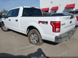 Ford F-150 Xlt 1FTFW1EF1GKE56647 снимка