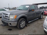 Ford F-150 Xlt 1FTFX1CFXDFA54162 снимка