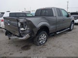 Ford F-150 Xlt 1FTFX1CFXDFA54162 снимка