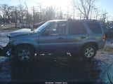 Ford Escape Xlt 1FMYU93185KA31942 снимка