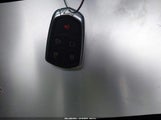 Miniaturka zdjęcia 11