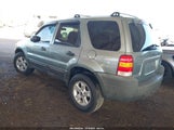 Ford Escape Xlt 1FMCU03145DA27056 снимка