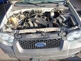 Ford Escape Xlt 1FMYU03195KA88887 снимка