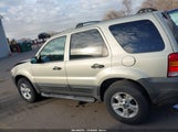 Ford Escape Xlt 1FMYU03195KA88887 снимка