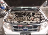 Ford Escape Xlt 1FMCU9D75BKC38393 fotografie