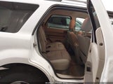 Ford Escape Xlt 1FMCU9D75BKC38393 fotografie
