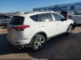 Toyota Rav4 Xle 2T3WFREV0JW503770 снимка