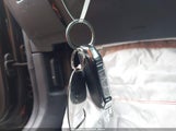 Miniaturka zdjęcia 11