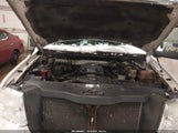 Miniaturka zdjęcia 10