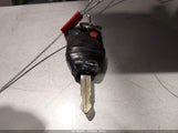 Miniaturka zdjęcia 11