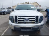Ford F-150 Fx4/Lariat/Xl/Xlt 1FTPX14V29FB42379 fotografie