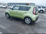 Miniaturka zdjęcia 3