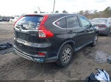 Miniaturka zdjęcia 4
