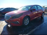 Hyundai Sonata Se 5NPE24AF8FH163422 снимка