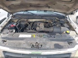 Miniaturka zdjęcia 10
